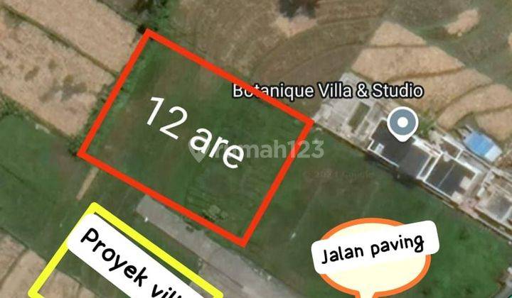 PASTI DEAL DI JUAL TANAH LOKASI NYANYI BERABAN TABANAN  1