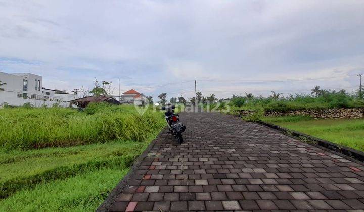 PASTI DEAL DI JUAL TANAH LOKASI NYANYI BERABAN TABANAN  2