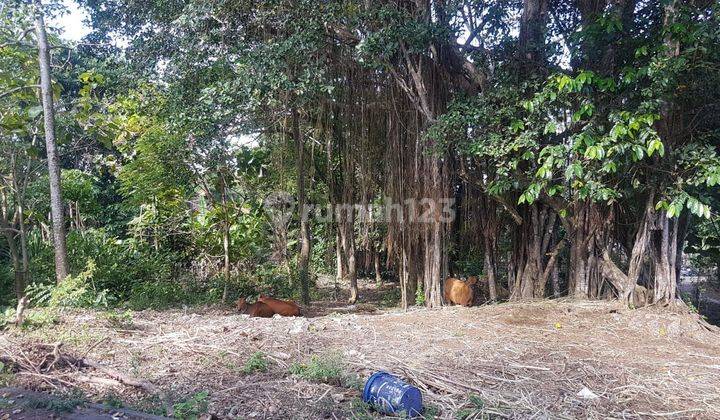 PASTI DEAL DI JUAL TANAH LOKASI PECATU KUTA SELATAN BADUNG
 2