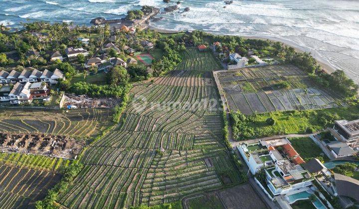 PASTI DEAL DI JUAL TANAH VIEW LAUT & SAWAH LOKASI CEMAGI MENGWI BADUNG 
 2