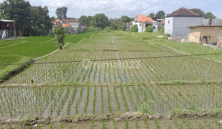 SURE DEAL ON SALE OF LAND IN STEEP LOCATION GADON MENGWITANI MENGWI BADUNG 2