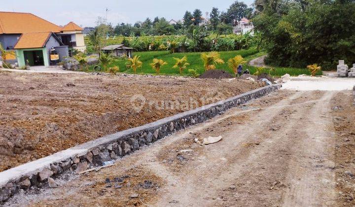 PASTI DEAL DI JUAL TANAH VIEW SAWAH LOKASI TUMBAK BAYUH CANGGU KUTA UTARA BADUNG 
 1