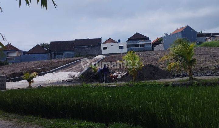 PASTI DEAL DI JUAL TANAH VIEW SAWAH LOKASI TUMBAK BAYUH CANGGU KUTA UTARA BADUNG 
 2