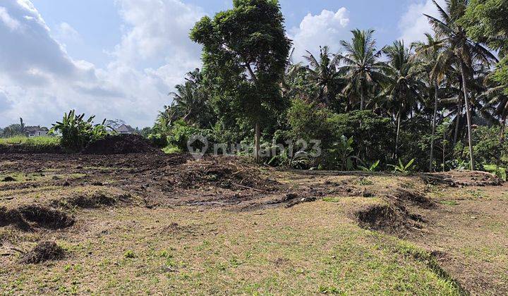 SURE DEAL FOR SALE RIVER VIEW LAND & FIELD LOCATION LODTUNDUH UBUD GIANYAR
 2