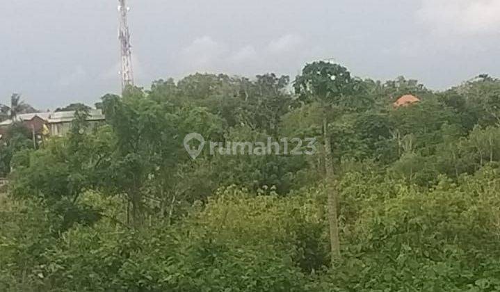 SURE DEAL ON LAND FOR SALE LOCATION PECATU KUTA SELATAN BADUNG 
 2