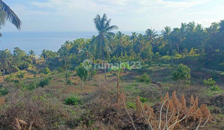 PASTI DEAL DI JUAL TANAH VIEW LAUT LOKASI BONDALEM TEJAKULA BULELENG  2