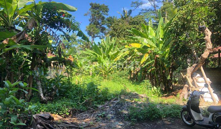 SURE DEAL FOR SALE LAND LOSS SUNGAI AYUNG LOCATION SAYAN UBUD GIANYAR 
 1