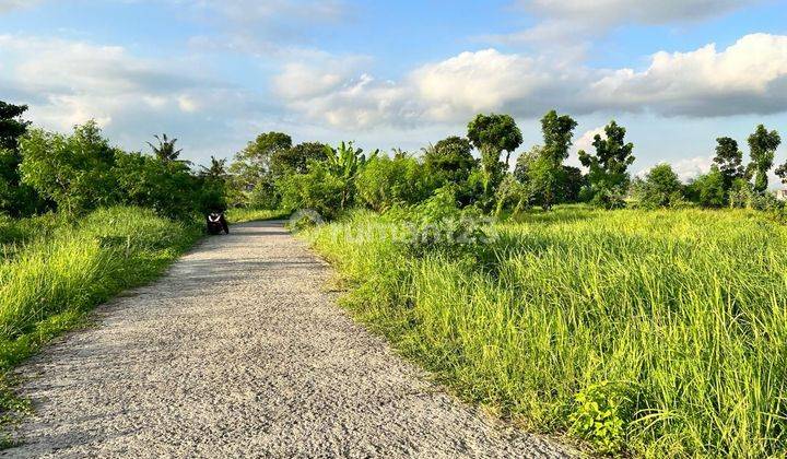 PASTI DEAL DI JUAL TANAH LOKASI KEDUNGU KEDIRI TABANAN 
 2