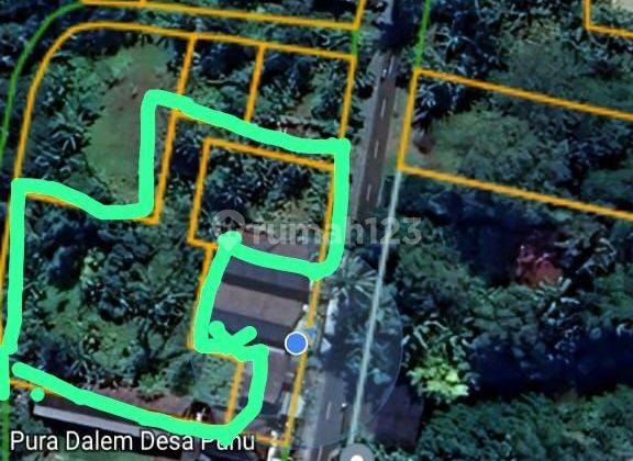 PASTI DEAL DI JUAL TANAH LOKASI PUHU PAYANGAN UBUD GIANYAR  1