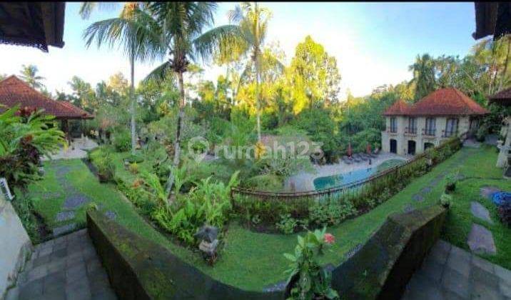 DEFINITELY A DEAL FOR SALE VILLA IN PEJENG UBUD GIANYAR LOCATION 2