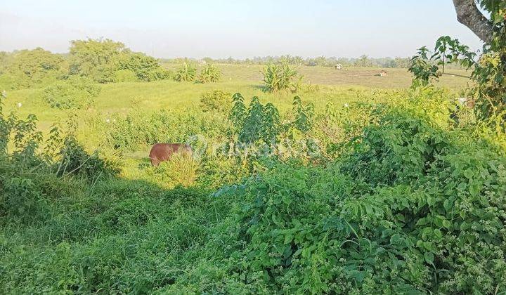 PASTI DEAL DI JUAL TANAH VIEW SAWAH LOKASI KABA KABA KEDIRI TABANAN 
 1