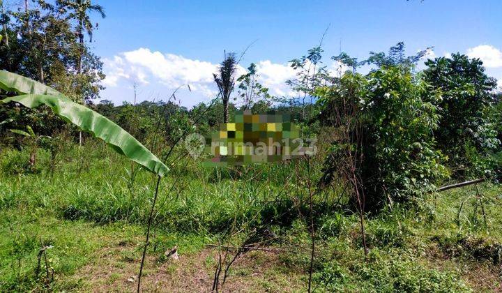 PASTI DEAL DI JUAL TANAH LOKASI TAMPAK SIRING UBUD GIANYAR 
 1