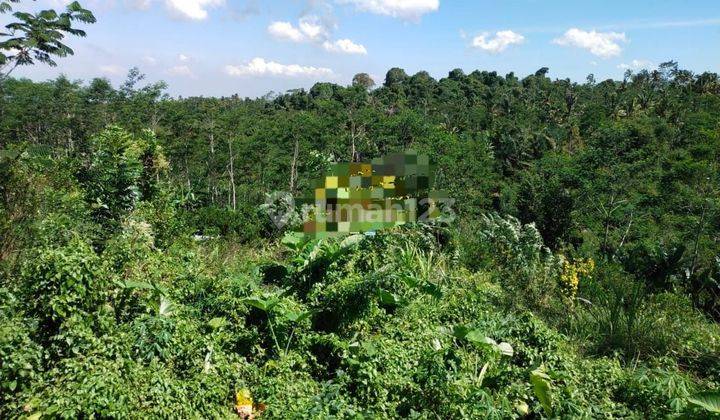 PASTI DEAL DI JUAL TANAH LOKASI TAMPAK SIRING UBUD GIANYAR 
 2