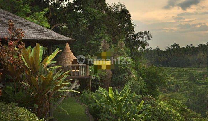 PASTI DEAL DI JUAL VILLA LOKASI SAYAN UBUD GIANYAR  1