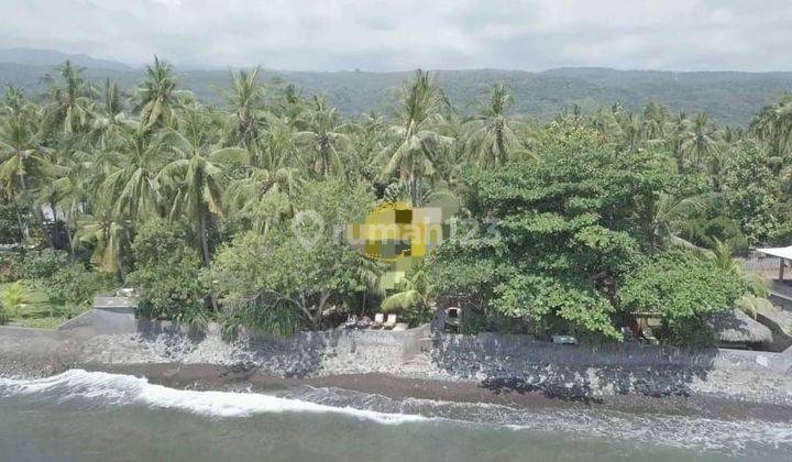 PASTI DEAL DI JUAL VILLA LOSS PANTAI VIEW LAUT LOKASI LOVINA  BULELENG 1