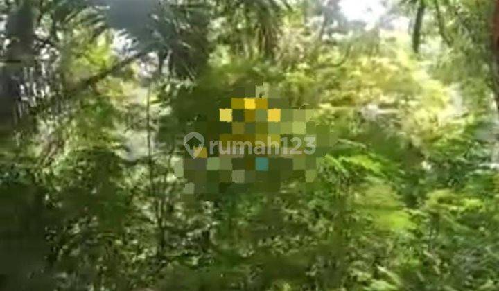 SURE DEAL ON LAND FOR SALE LOCATION TEGALLALANG UBUD GIANYAR  1