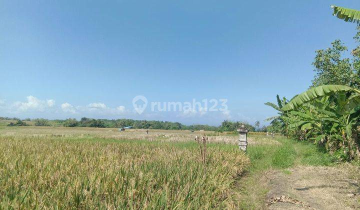 SURE DEAL ON LOSS SUNGAI LAND FOR SALE LOCATION KELATING KERAMBITAN TABANAN 
 1