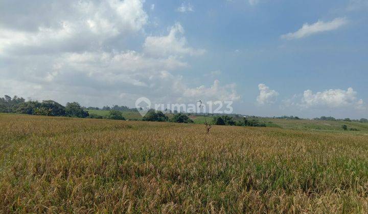 SURE DEAL ON LOSS SUNGAI LAND FOR SALE LOCATION KELATING KERAMBITAN TABANAN 
 2