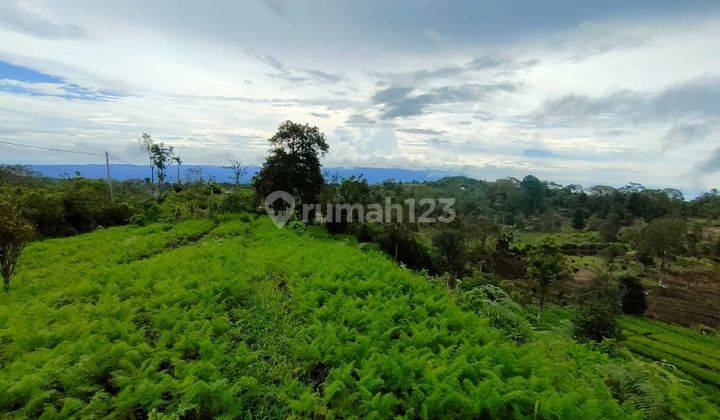 SURE DEAL FOR SALE SEA VIEW LAND LOCATION KAYU PANDAK GESING BANJAR BULELENG
 1