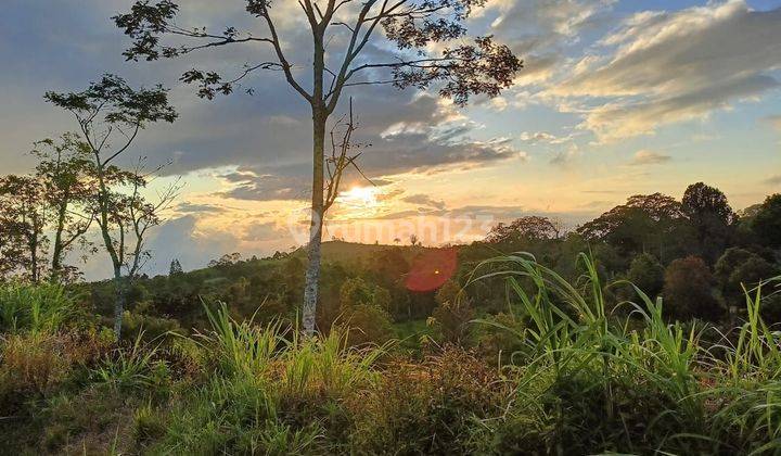 SURE DEAL FOR SALE SEA VIEW LAND LOCATION KAYU PANDAK GESING BANJAR BULELENG
 2