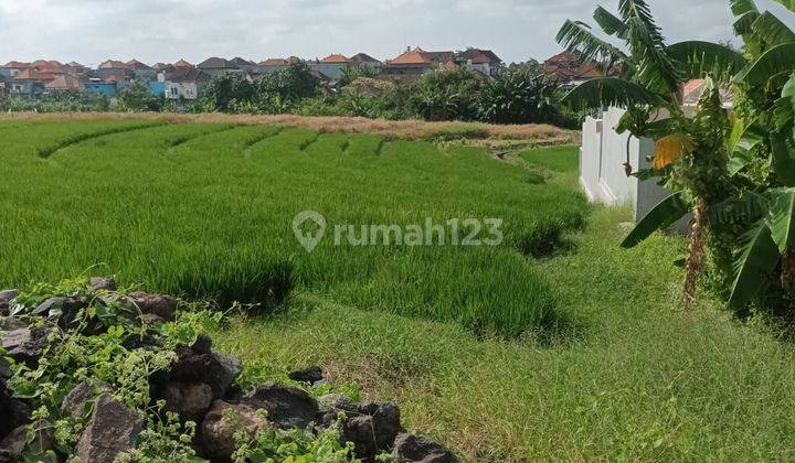 SURE DEAL FOR SALE RIVER VIEW LAND & FIELD LOCATION PADONAN CANGGU KUTA UTARA BADUNG 1