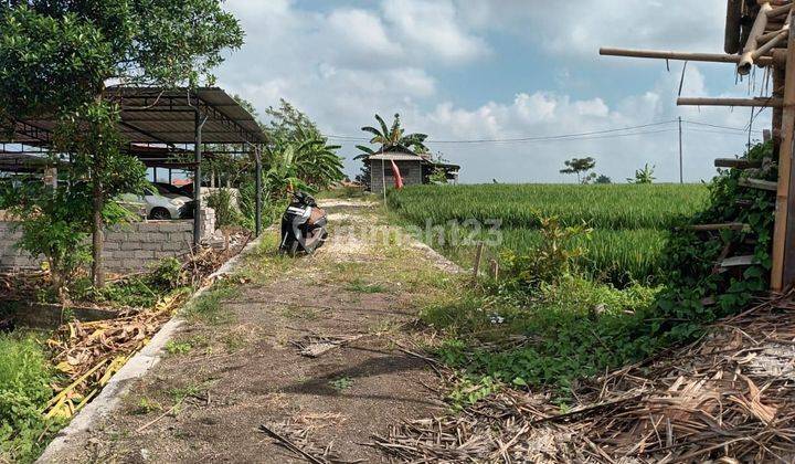 SURE DEAL FOR SALE RIVER VIEW LAND & FIELD LOCATION PADONAN CANGGU KUTA UTARA BADUNG 2