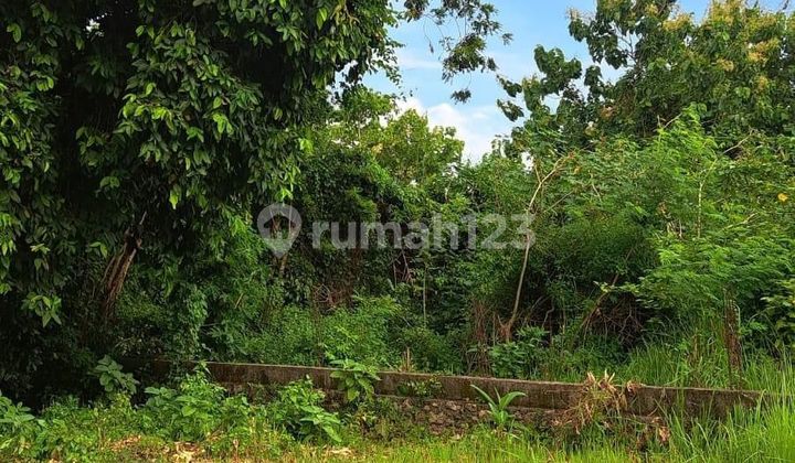 DEFINITELY A DEAL ON LAND FOR SALE TOYANING LOCATION UNGASAN KUTA SELATAN BADUNG 

