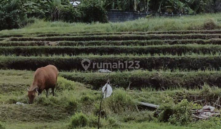 PASTI DEAL DI JUAL TANAH LOKASI KEROBOKAN KUTA UTARA BADUNG  2