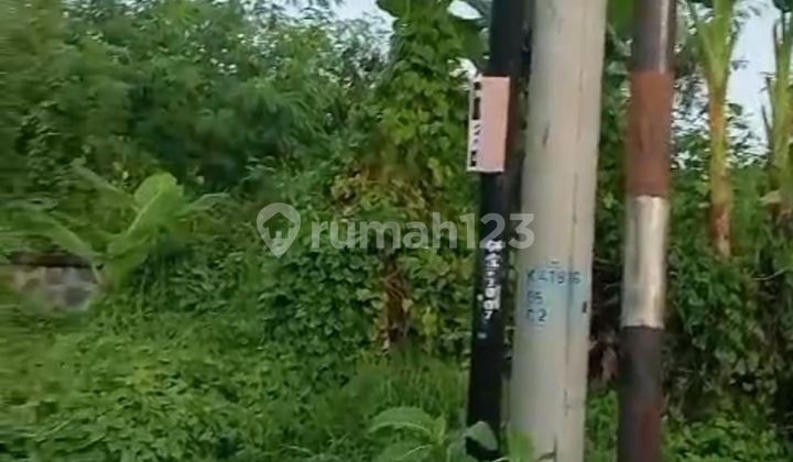 CERTAIN CLOSING FOR LAND LEASE LOCATION CAMPUHAN KEROBOKAN NORTH KUTA BADUNG.