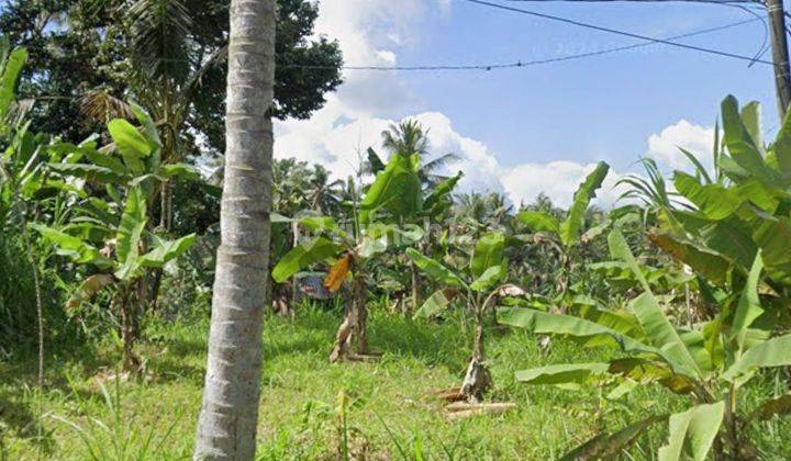 PASTI CLOSING DI SEWAKAN TANAH LOSS SUNGA PINGGIR JALAN LOKASI PEJENG - TAMPAK SIRING UBUD GIANYAR 1