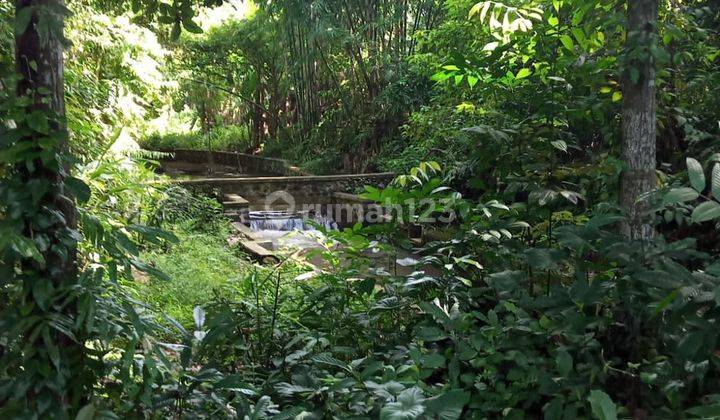 PASTI CLOSING  DI SEWAKAN TANAH LOSS SUNGAI VIEW HUTAN LOKASI MAS UBUD GIANYAR
 1