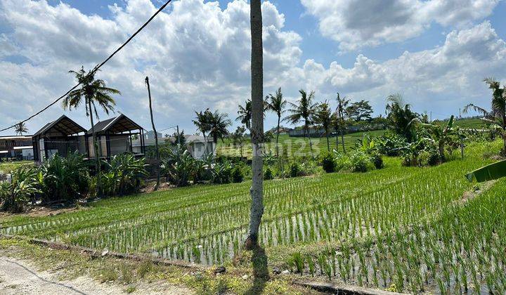 PASTI DEAL DI JUAL TANAH LOKASI NYANYI BERABAN TABANAN  1