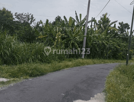 Tanah Luas 735 M2 Di Jl Kaliurang Km 10  2 KM Dari Pasar Gentan 2