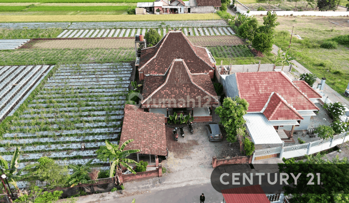 Rumah Elegan Dan Nyaman Dengan Teras Joglo Di Bokoharjo Kalasan 1