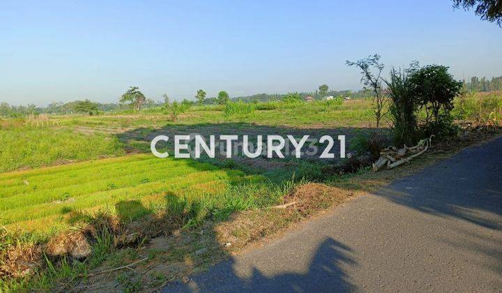 Tanah Dekat Lokasi Wisata Religius Candi Ganjuran 1