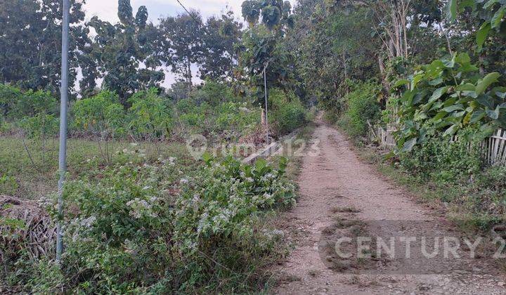 Tanah Strategis Dekat Kantor PemdaAlunalun Gunung Kidul 2