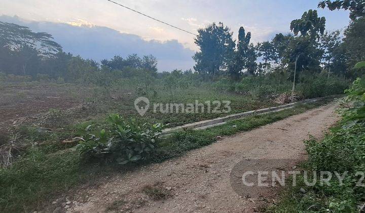 Tanah Strategis Dekat Kantor PemdaAlunalun Gunung Kidul 1