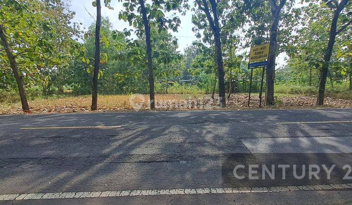 Cepet Saja Tanah 500 M Di Wonosari Mangku Jalan Besar 2