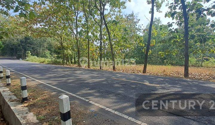 Cepet Saja Tanah 500 M Di Wonosari Mangku Jalan Besar 1