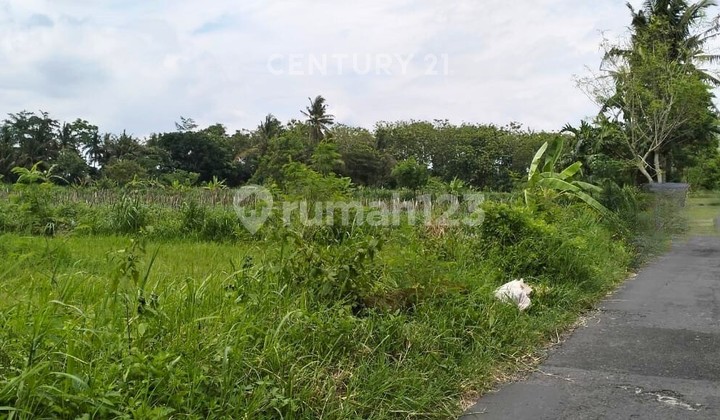 Tanah 2746M2 di Sleman Utara Cocok untuk Villa