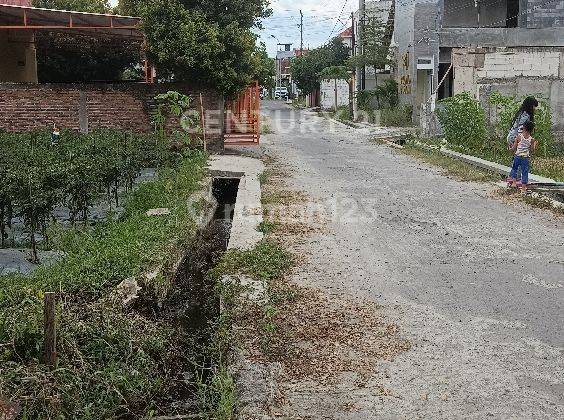 Dijual Tanah Pekarangan LT 436 M²; Ld 8 M Maguwoharjo 2