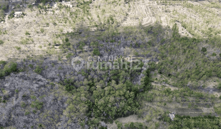 Tanah Di Desa Mulo Wonosari Gunung Kidul Dijual Cck Untuk Resort