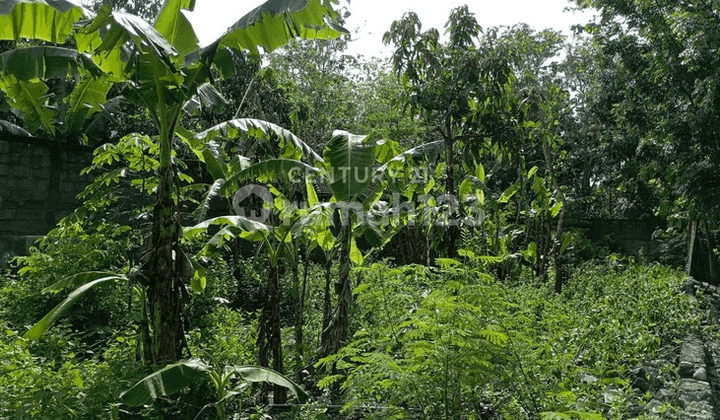 Tanah Kavling LT 134 M2 Di Argomulyo Cocok Dibangun Tempat Hunian