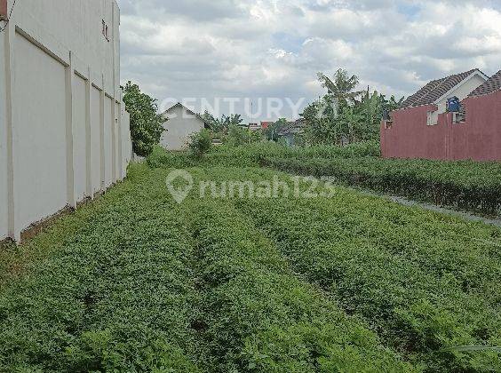 Dijual Tanah Pekarangan LT 436 M²; Ld 8 M Maguwoharjo 1