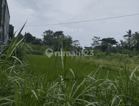 Tanah Luas 735 M2 Di Jl Kaliurang Km 10  2 KM Dari Pasar Gentan 1