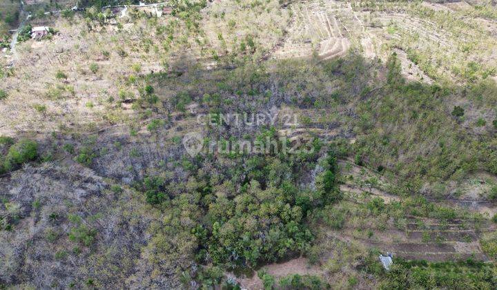 Tanah Luas Cocok Untuk Resot Di Mulo Wonosari Gunung Kidul 1