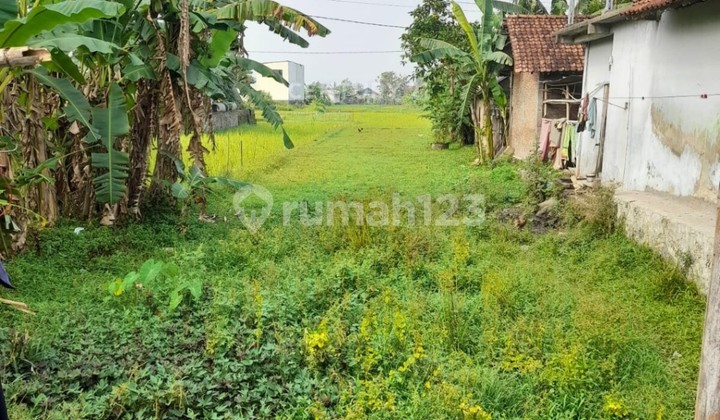 Tanah Sawah 549m2 Di Jambidan Banguntapan Cocok Untuk Investasi Tanah Sawah 549m2 Di Jambidan Banguntapan Cocok Untuk Investasi