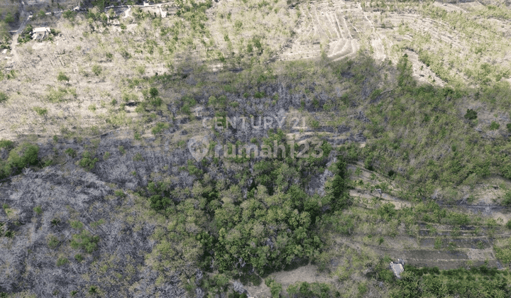 Tanah Luas Cocok Untuk Resot Di Mulo Wonosari Gunung Kidul Tanah Luas Cocok Untuk Resot Di Mulo Wonosari Gunung Kidul