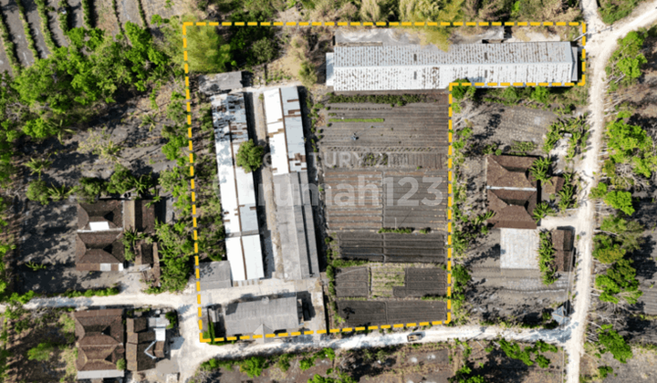 Tanah Bisa Langsung Buka Usaha Ternak Luas 7909 Mtr Di Playen GK