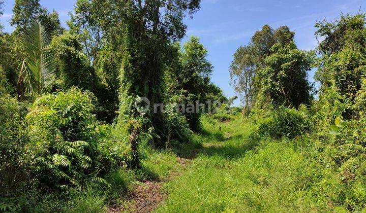 Tanah Murah Luas Lokasi di Kota Palembang SHM Nego Sampai Jadi 1